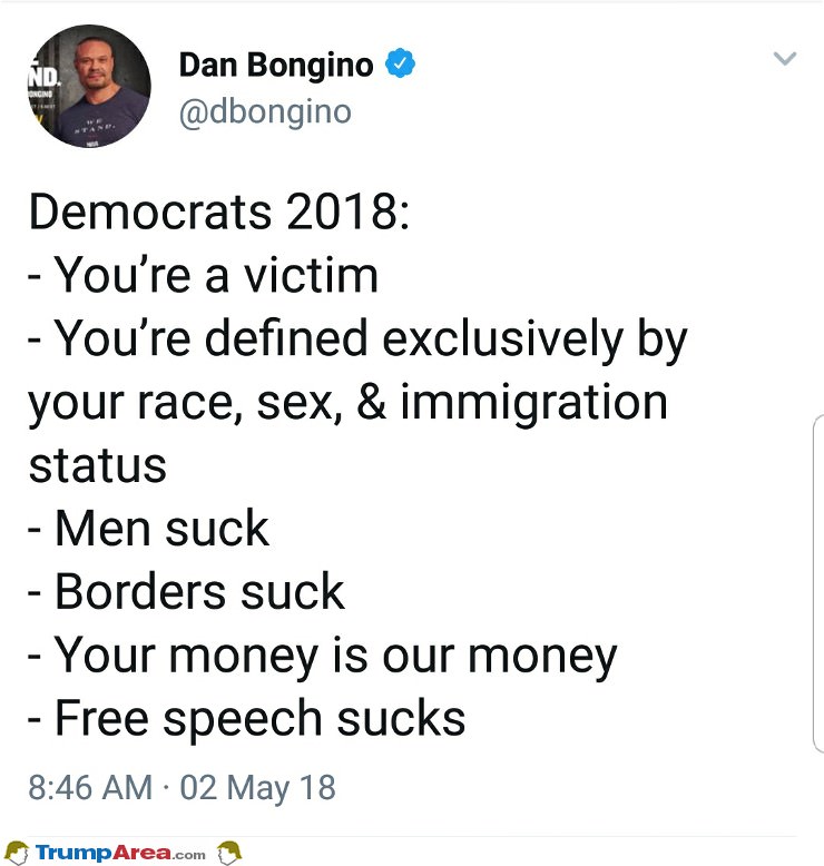 2018 Democrat Platform