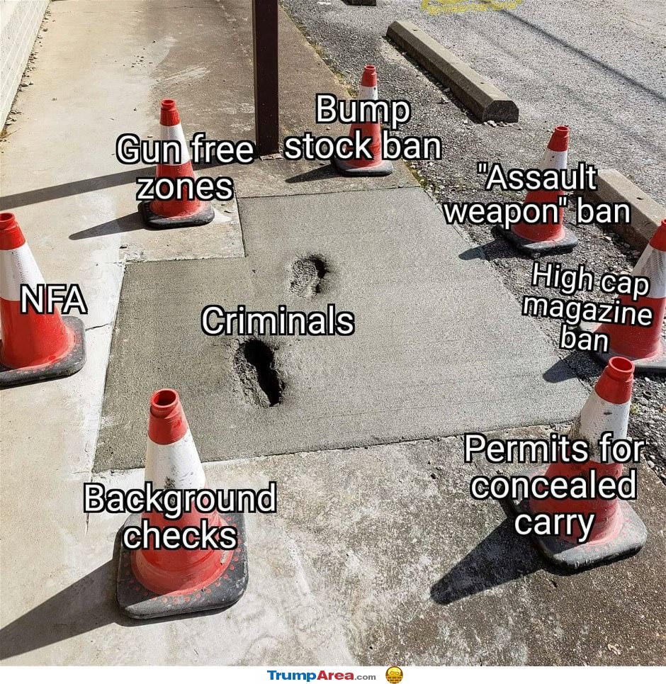 Gun Bans