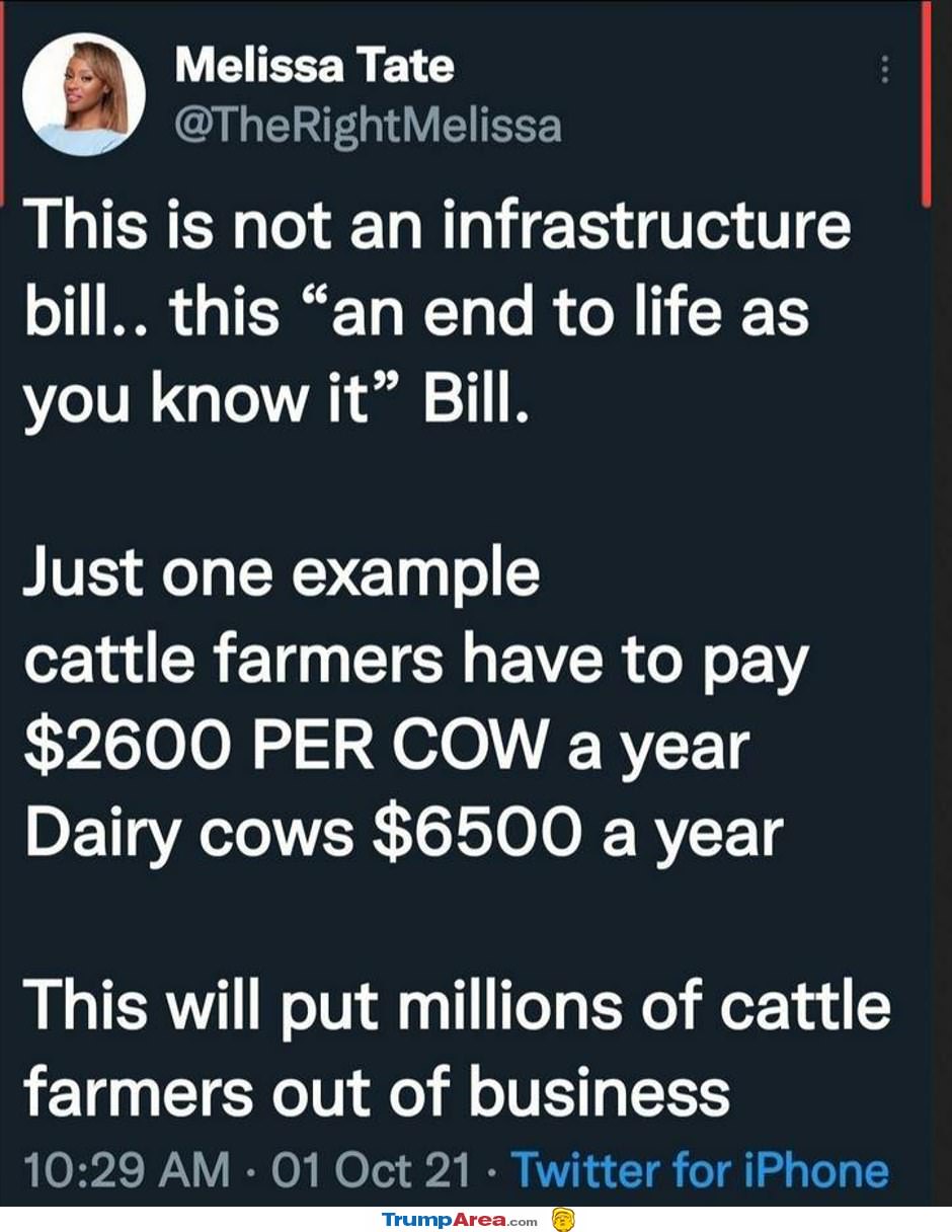Not An Infastructure Bill