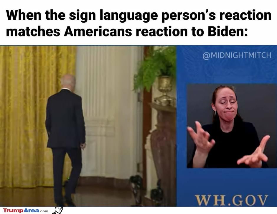 The Sign Language Person