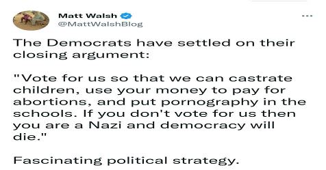 Fascinating Political Strategy