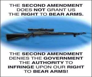 The Second Amendment