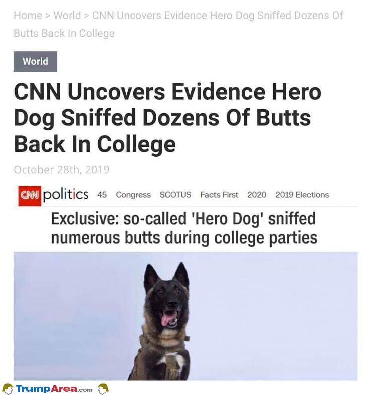 CNN uncovers real story