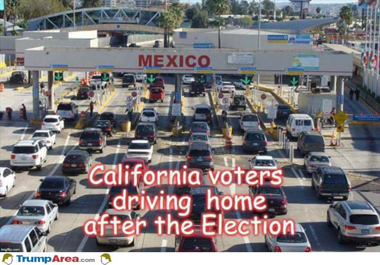 California Voters