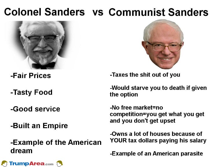 Different Types Of Sanders