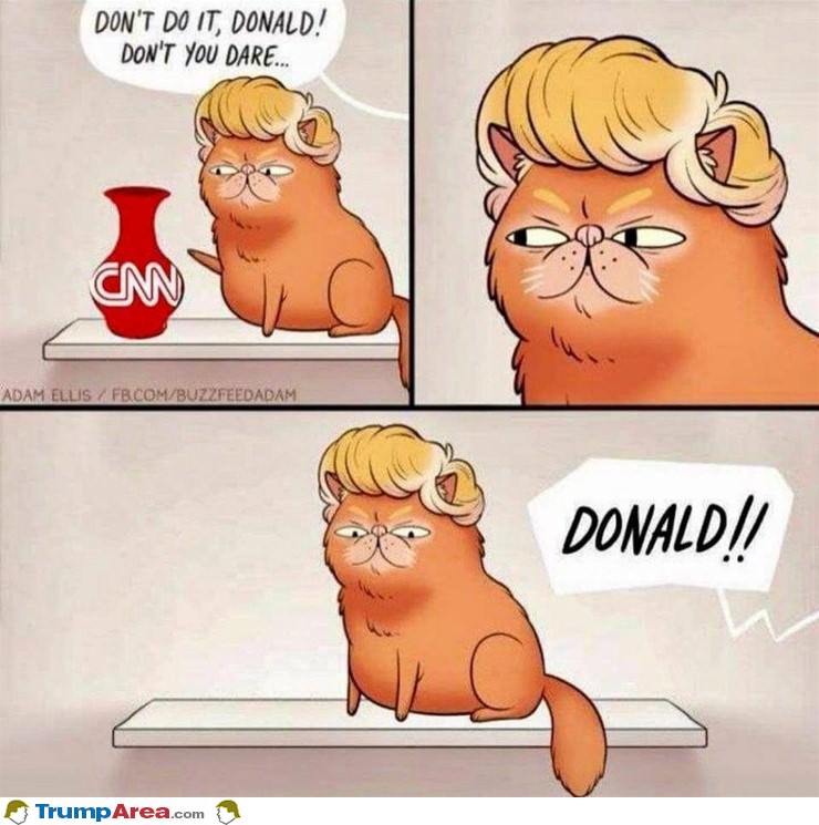Don't Do It Donald