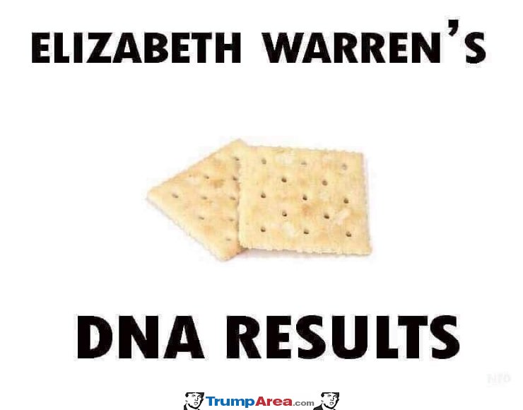 elizabeth warrens DNA