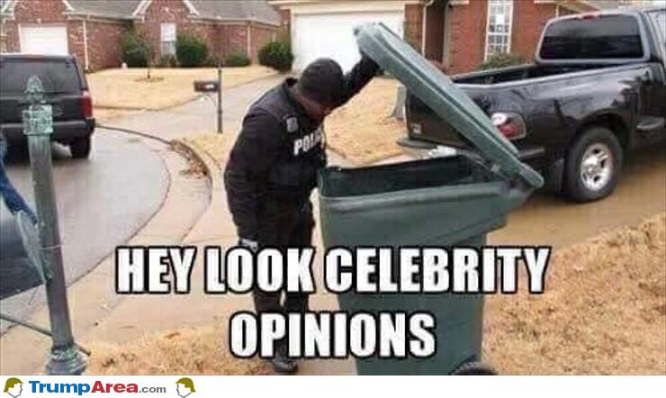 Found Some Celebrity Opinions