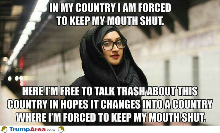 In My Country I Keep My Mouth Shut