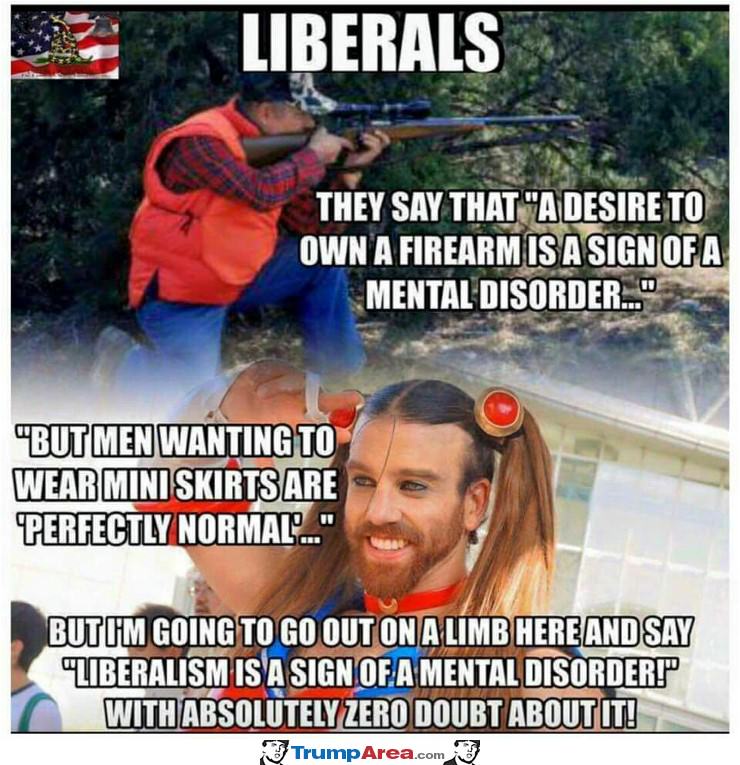 Just Some Liberal Logic