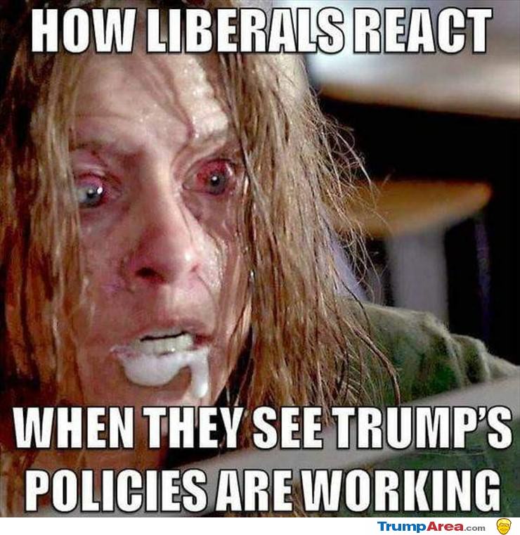 Liberals Reaction