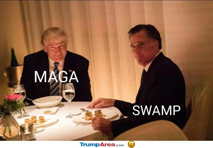 Maga And The Swamp