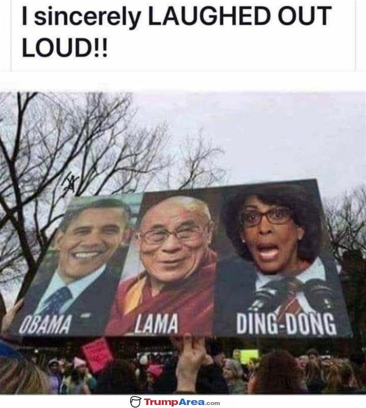 Obamalama