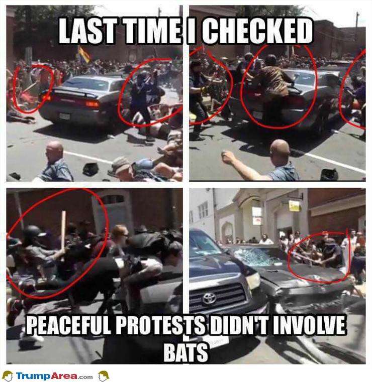 Peaceful Protestors