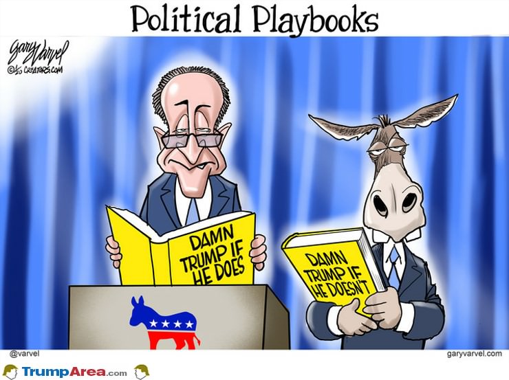 Political Playbook