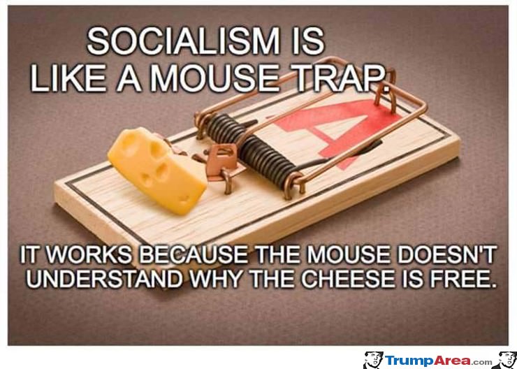 Socialism Works