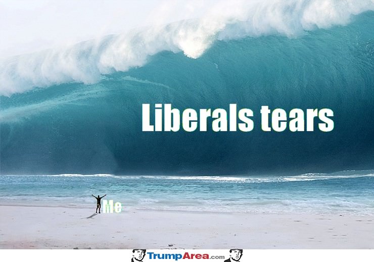 Some Liberal Tears