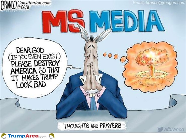 the MS media