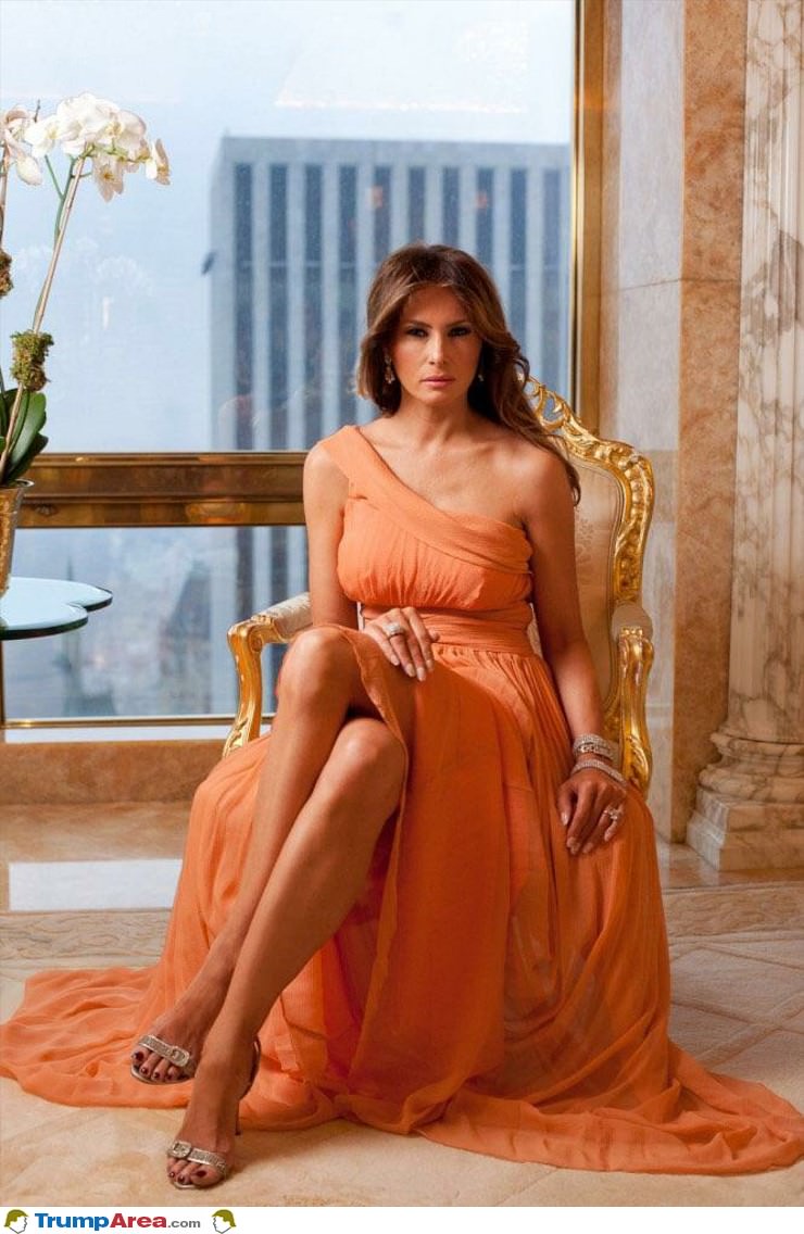 The Beautiful First Lady