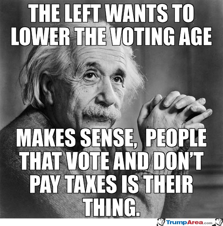 The Left Wants To Lower The Voting Age