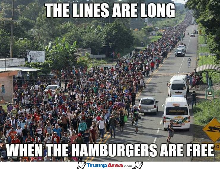 The Lines Are Long