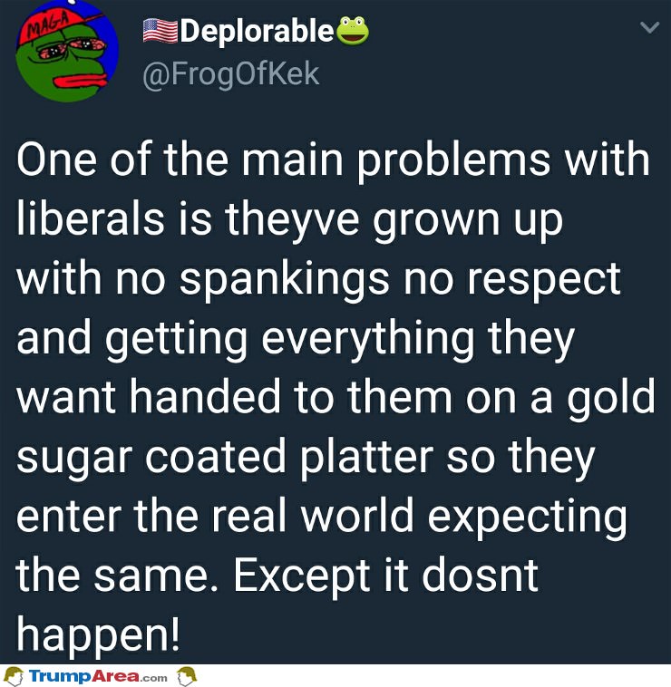 The Problem With Liberals