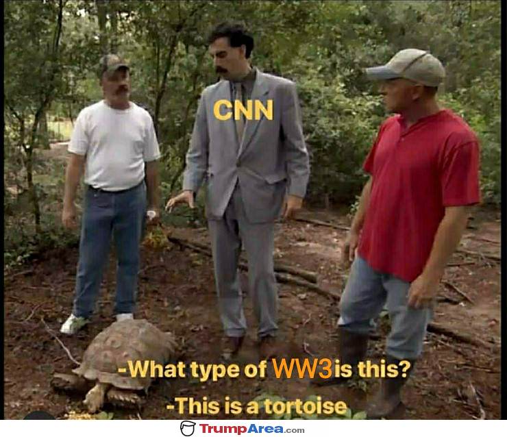 the state of CNN