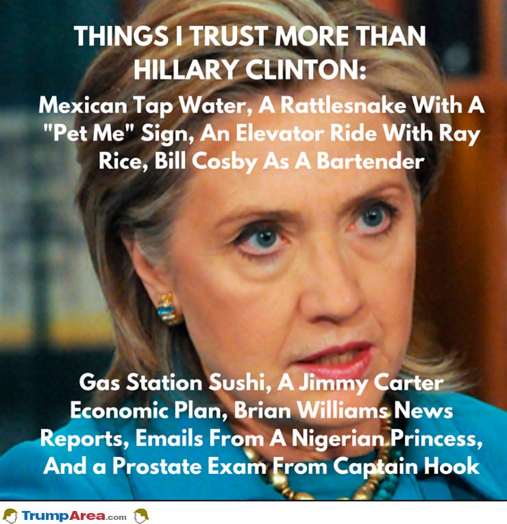 Things I Trust More Than Hillary