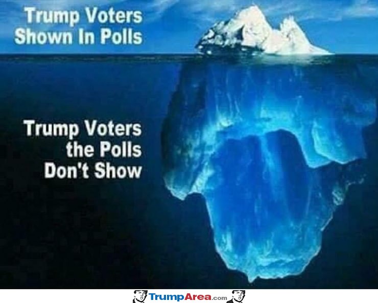 Trump Voters