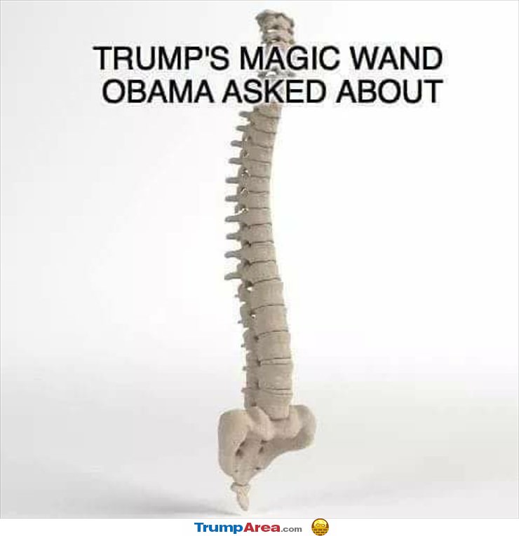Trumps Magic Wand