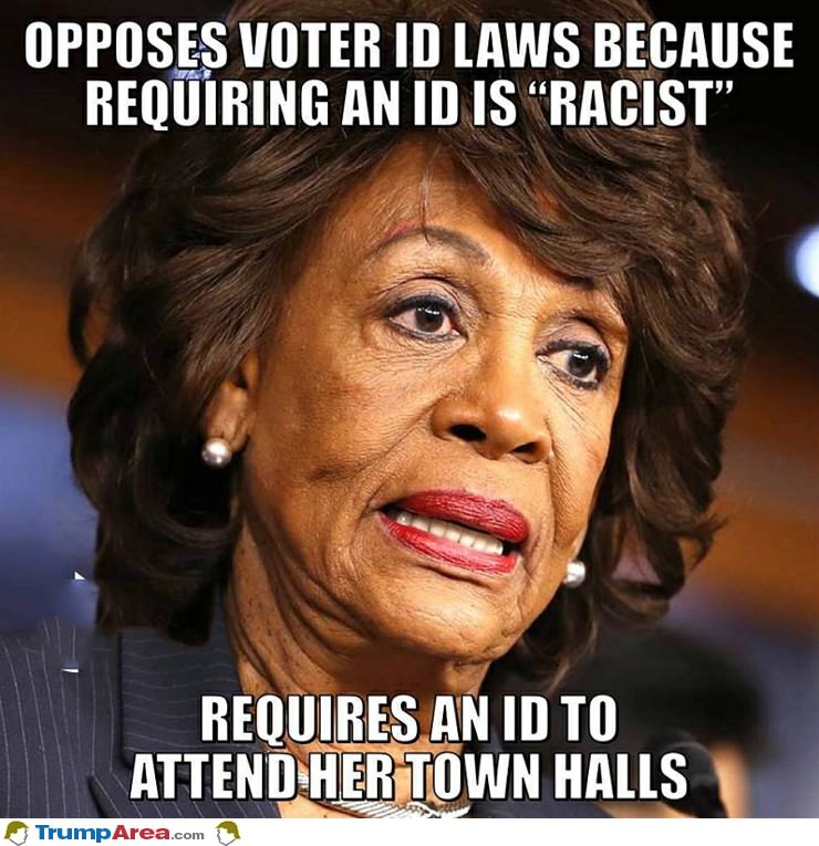 voter ID logic