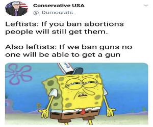 Weird Leftist Logic