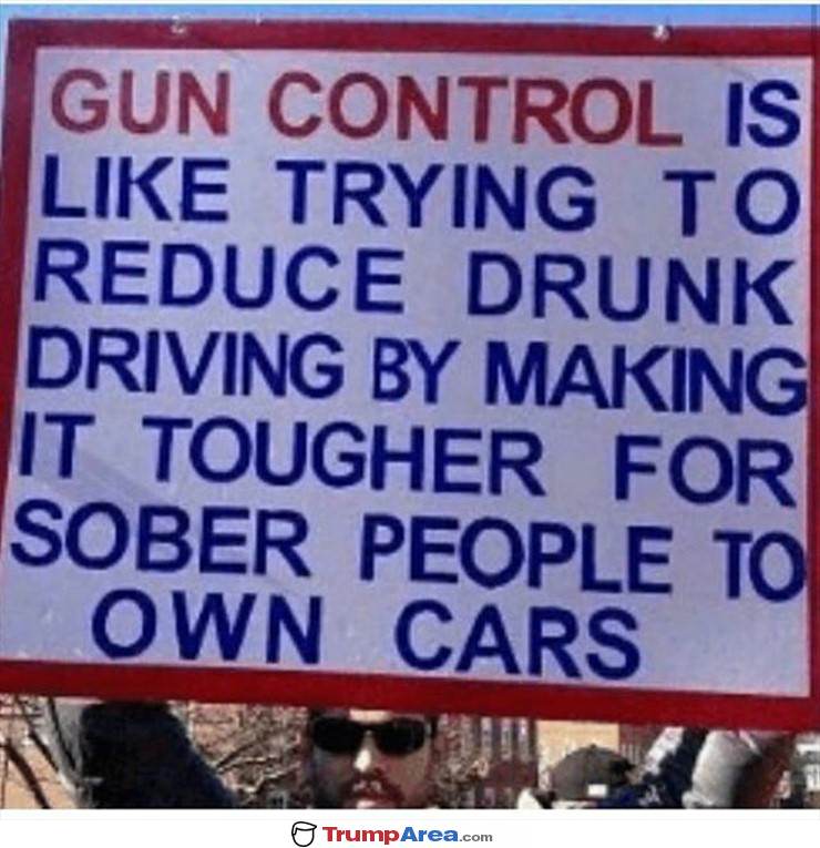What Gun Control Is Like