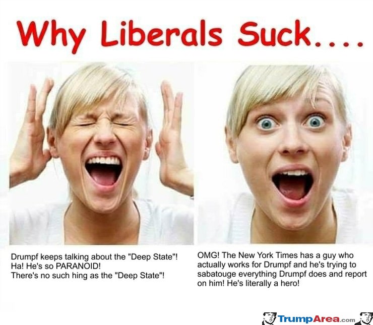 Why Liberals Suck