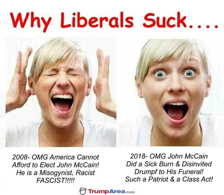 Why Liberals Suck
