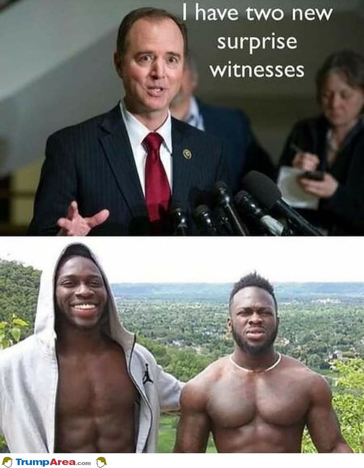 2 New Surprise Witnesses