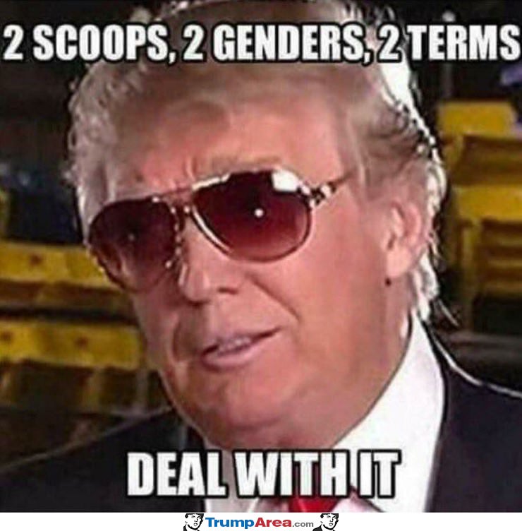 2 Scoops 2 Genders 2 Terms