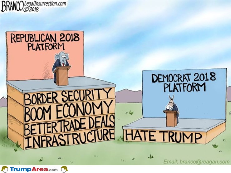 2018 Platform