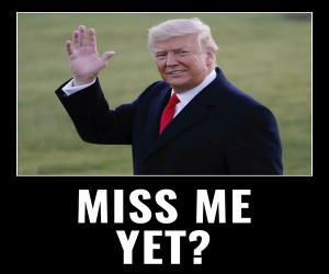 Miss Me Yet