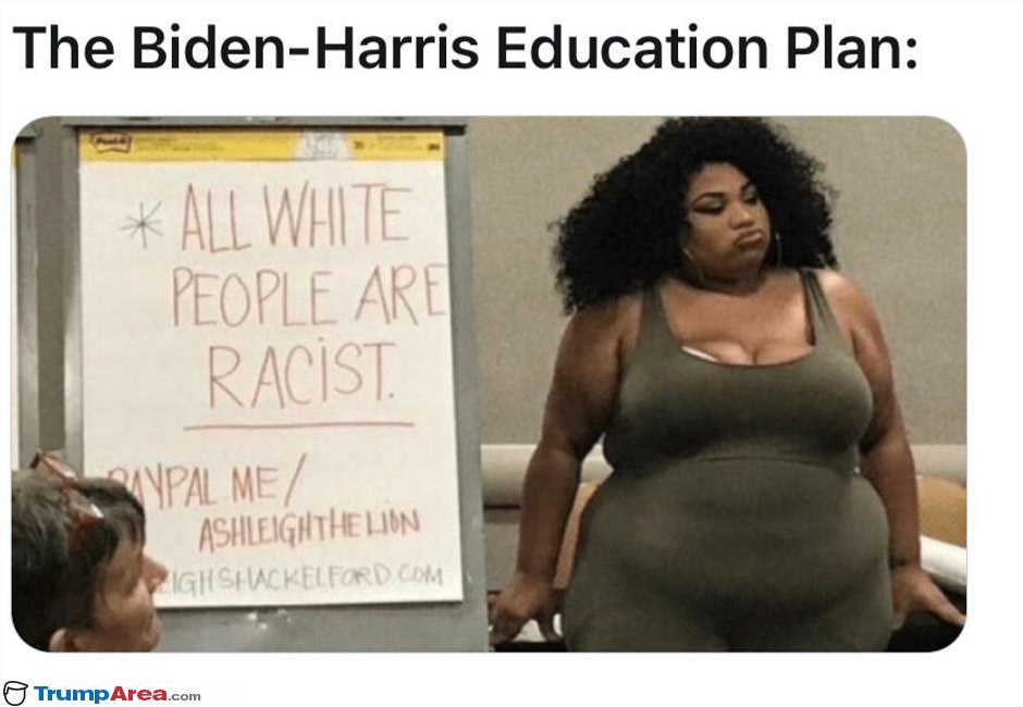 The Biden Harris Election Plan