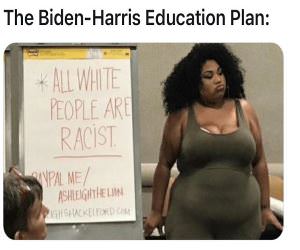 The Biden Harris Election Plan
