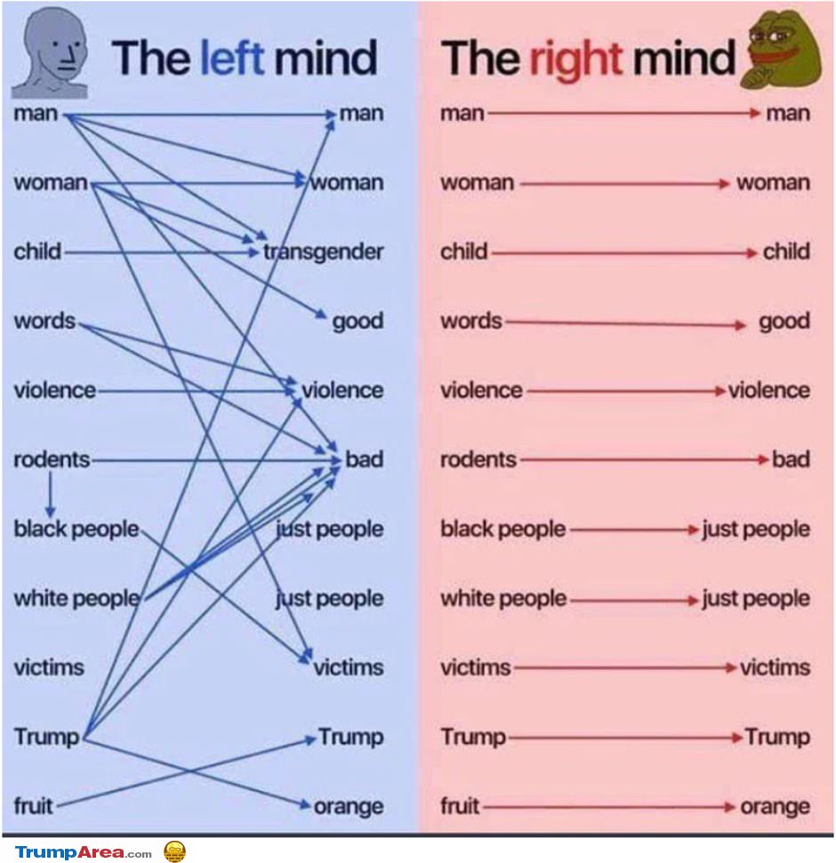The Democrat Mind