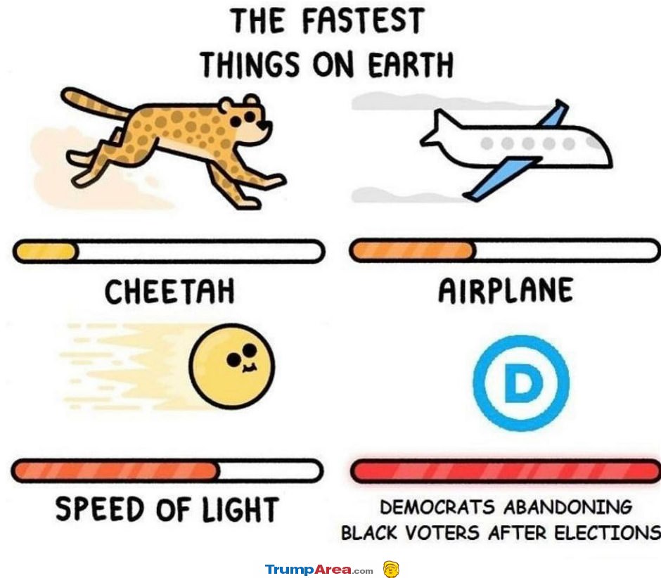 The Fastest Things On Earth