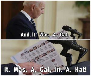 It Was A Cat