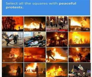 Select All The Squares