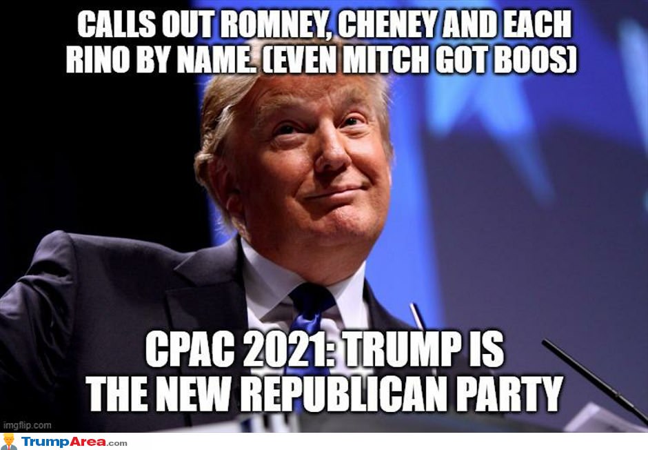 The New Republican Party