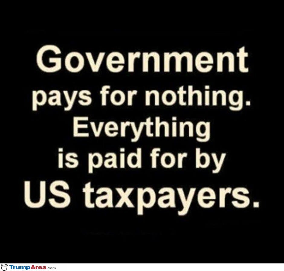 Government Pays For Nothing