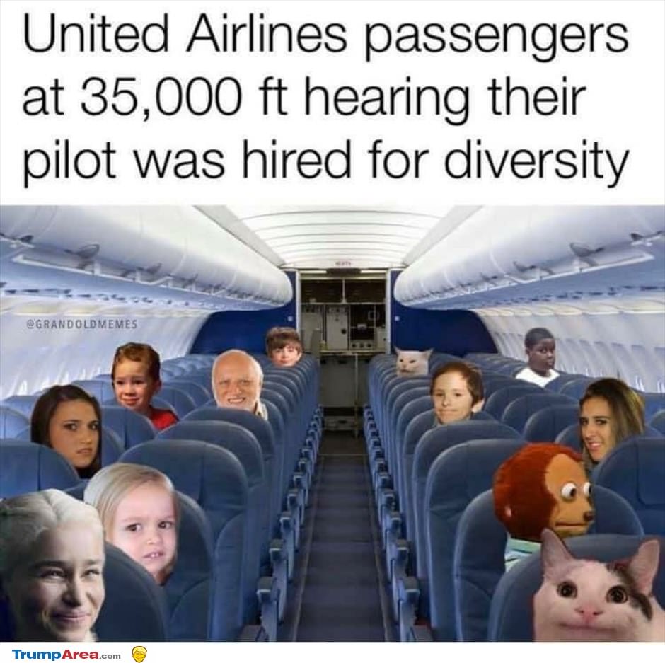 Hired For Diversity
