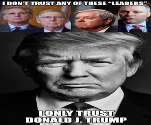 The One I Trust