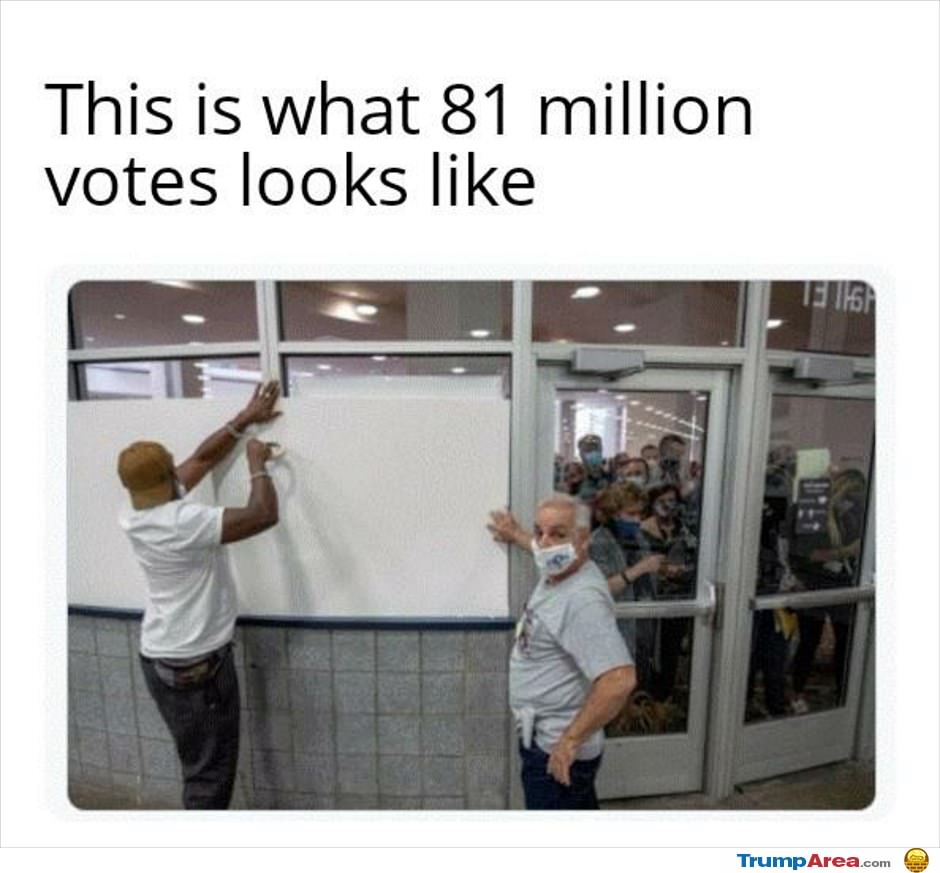 What 81 Million Votes Looks Like